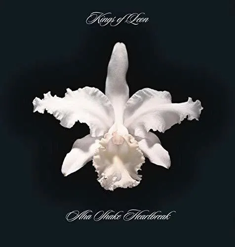 Kings Of Leon - Aha Shake Heartbreak (180G Vinyl 2LP)