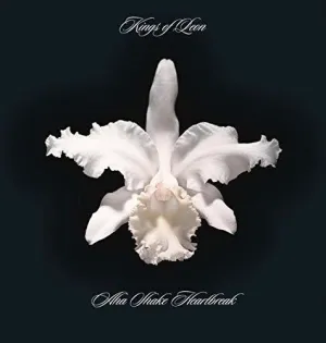 Kings Of Leon - Aha Shake Heartbreak (180G Vinyl 2LP)