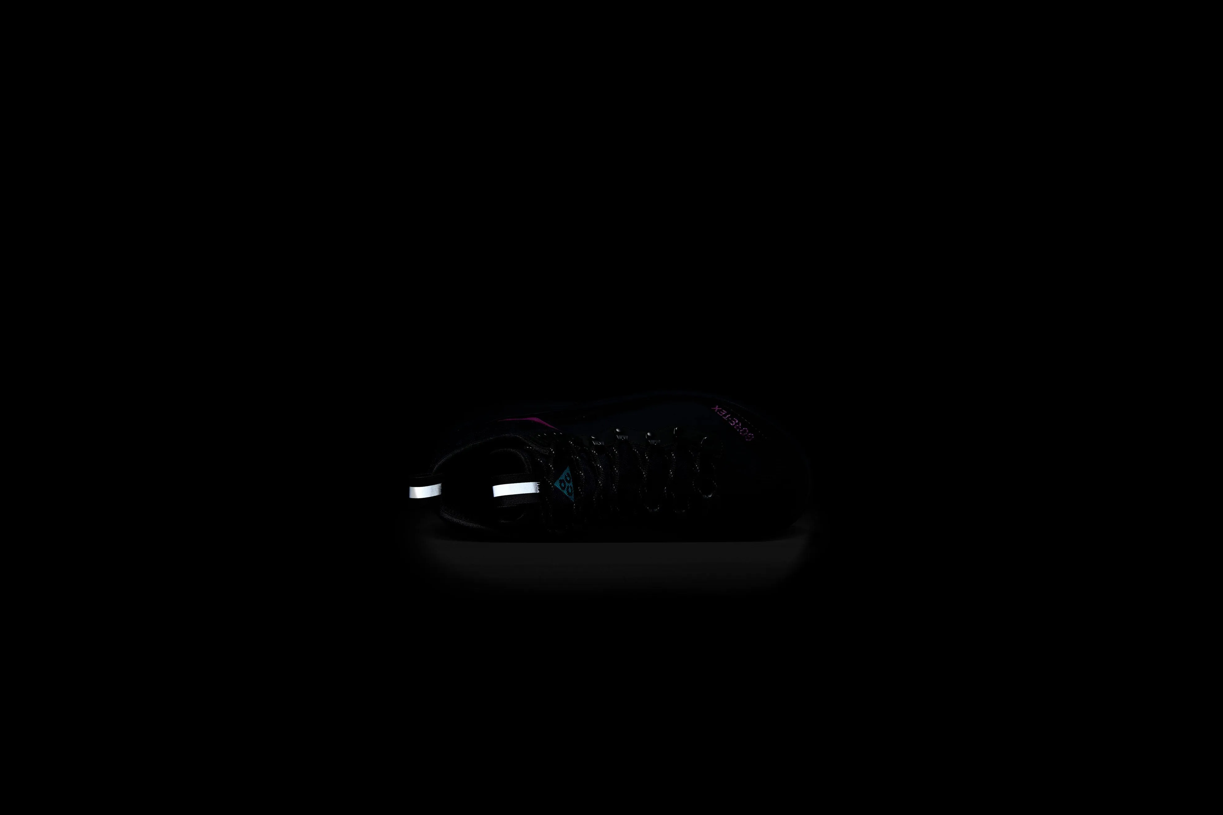 Nike ACG Air Zoom Gaiadome Gore-Tex (Obsidian/Teal Nebula)