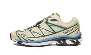 Salomon XT-6 Moth Vanilla