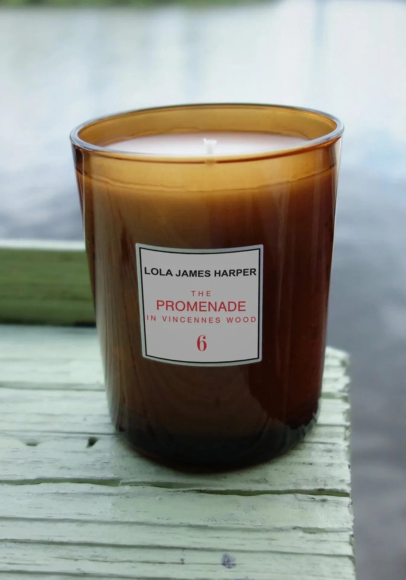 The Promenade in Vincennes Wood Candle
